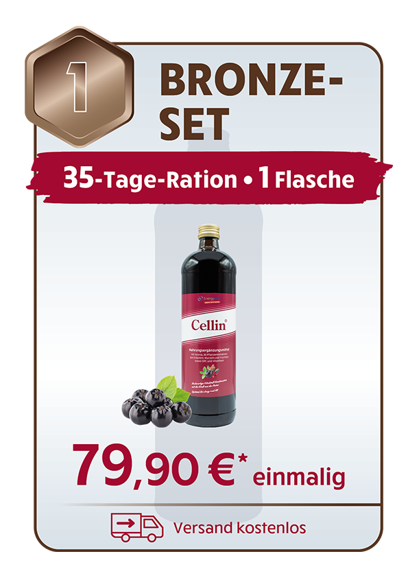 BRONZE-SET