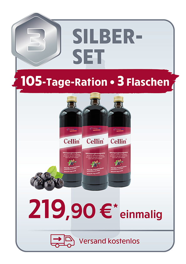 SILBER-SET